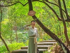 -广州白江湖森林公园