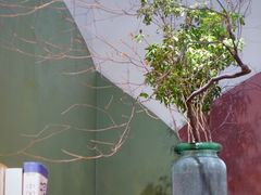 -Catch Bagel(芳草地店)