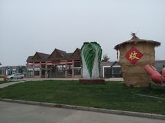 -上海都市菜园