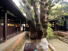 -八大山人梅湖景区