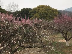 -白马涧龙池景区