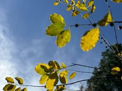 -青州市云门山风景区