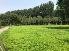 -东郊湿地公园