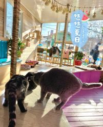 -萌宠亲子动物乐园(槐房万达店)