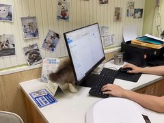 -瑞鹏宠物医院·骨科·猫科·内科(第一中心)