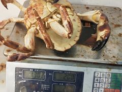 -张记老街里海鲜美食城(劈柴院店)