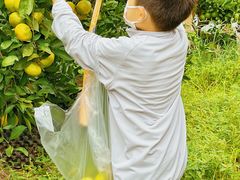 -前小桔亲子创意农场·草莓采摘·露营烧烤