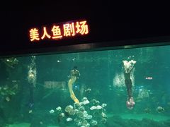 景点-福州罗源湾海洋世界旅游区