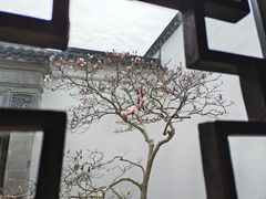 -耦园