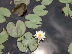 -昆山城市生态森林公园