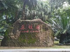 -攀枝花公园