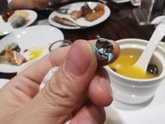 -索菲特酒店 · 云尚天际自助餐厅