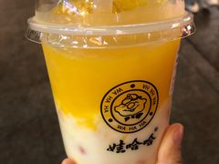 -娃哈哈·奶茶(武林店)