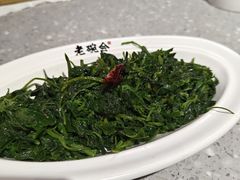 -老碗会·陕西手工面(燕南路店)