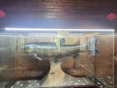 -南京金牛湖风景区