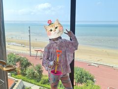 -烟台金沙滩喜来登度假酒店