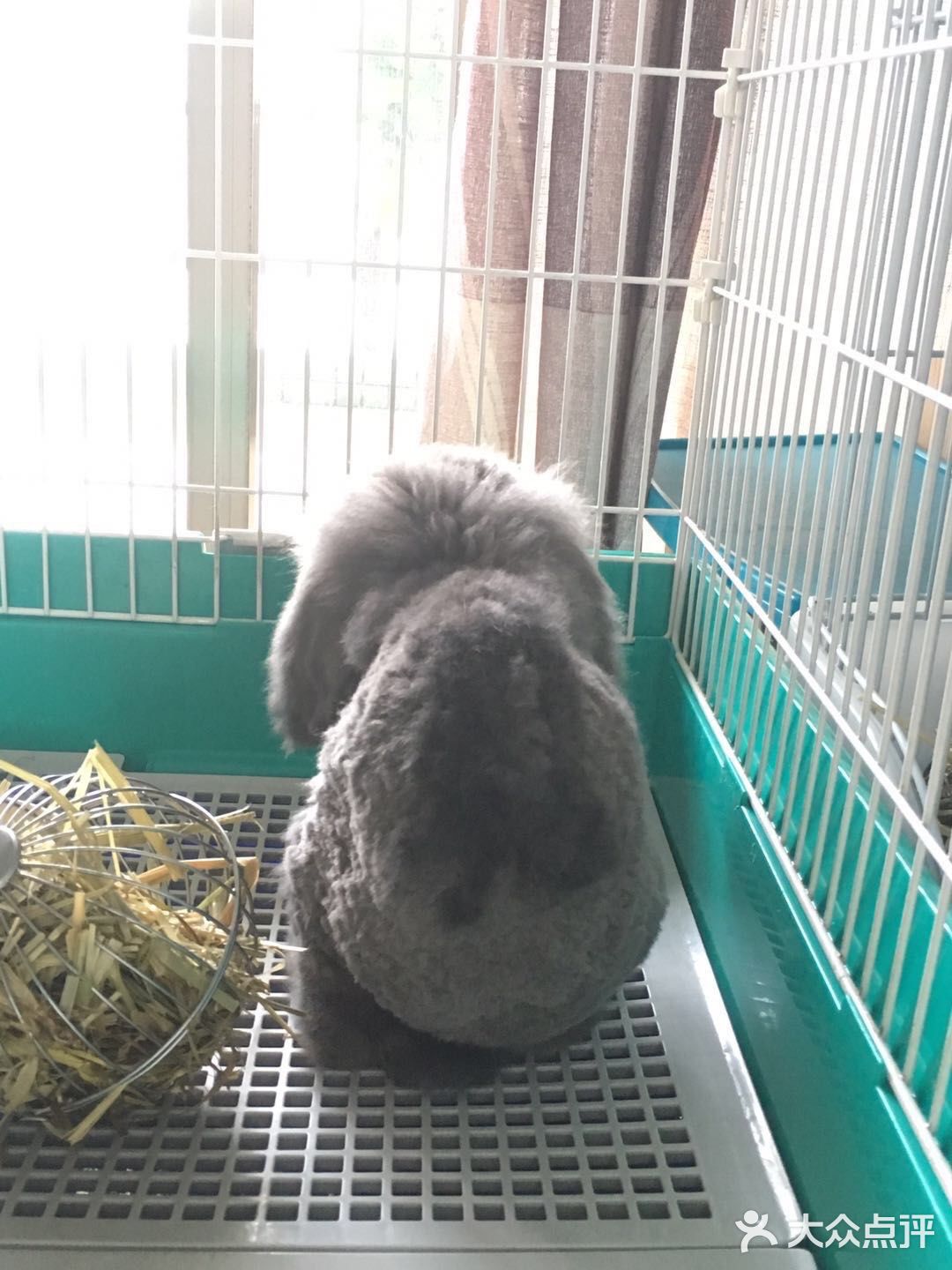 我最喜欢😘得小兔兔