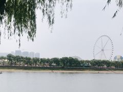 -济南国际园博园