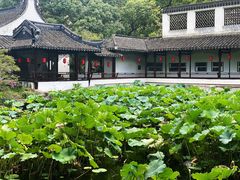 -上海醉白池公园