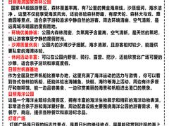 -日照灯塔风景区