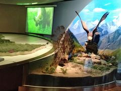 -陕西自然博物馆