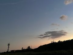 -吴淞炮台湾湿地森林公园烧烤区