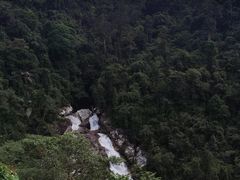 -海南热带雨林国家公园吊罗山景区