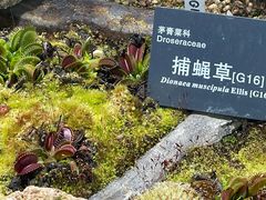 -国家植物园南园