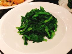 五粮液豌豆尖-北京四季酒店·采逸轩