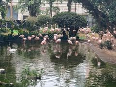 -九龙公园