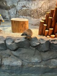 -Zoolung Zoolung动物主题公园(海信广场店)