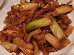 葱烧蹄筋-金春禧·鲁菜海鲜(延吉路万达店)