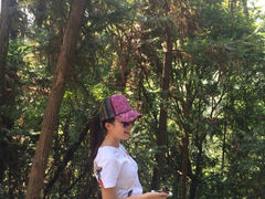 iphone_upload_pic-阳台山森林公园