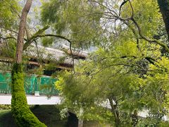 -广悦华阳朔河畔度假酒店(十里画廊遇龙河店)