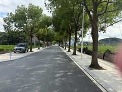 -上海佘山国家森林公园天马山园