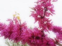 -江苏三台山国家森林公园