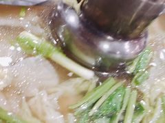 -绿光森林餐厅