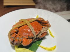 -觀芷隐轩