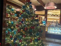 -香港尖沙咀凯悦酒店