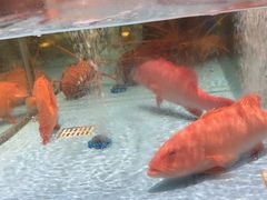 -阿伟海鲜楼·福建菜(延寿店)