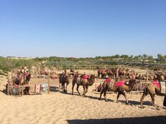 玉龙沙湖-玉龙沙湖景区