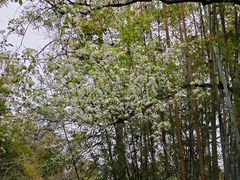 -广东温泉宾馆