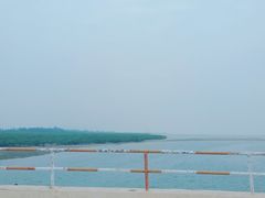 -北海金海湾红树林生态旅游区