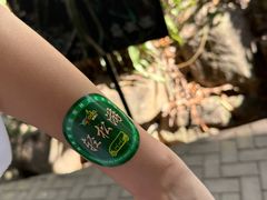 -呀诺达热带雨林