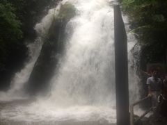 -德庆盘龙峡生态旅游区