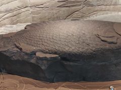 -白鹤梁水下博物馆