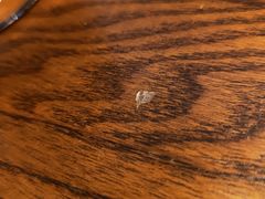 土豆泥里的塑料片-Wolfgang’s Steakhouse 沃夫冈牛排馆(上海白玉兰广场店)