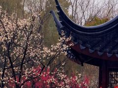 -司徒庙