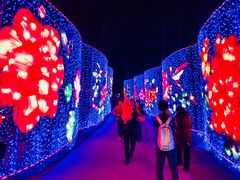 -南宫温泉水世界