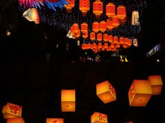 -长鹿旅游休博园